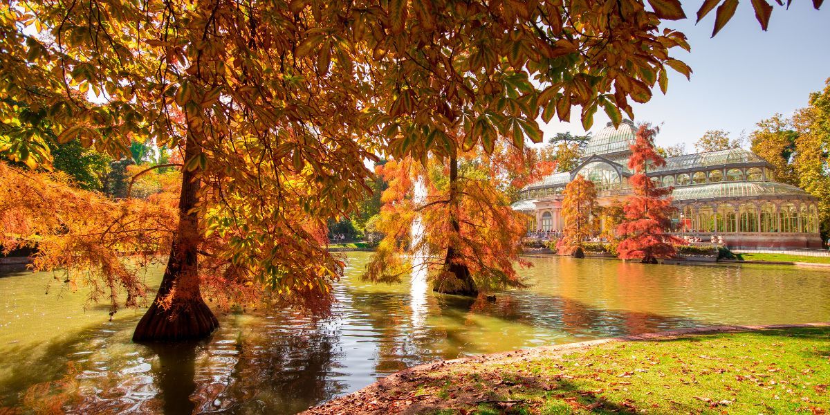 Retiro Park - One of Madrid's largest and liveliest parks