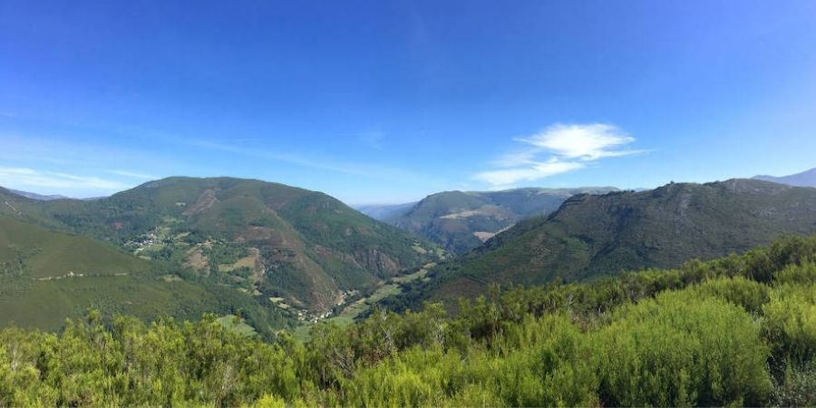 Bosque de El Moal en Asturias