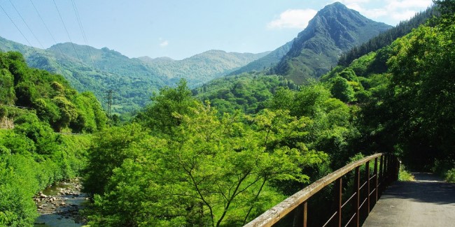 Senda del Oso en Asturias