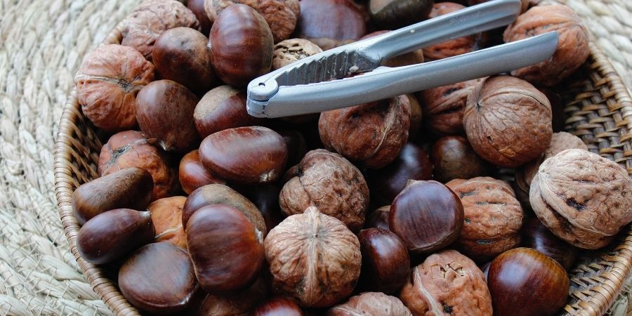 alimentos de otoño - castañas y nueces