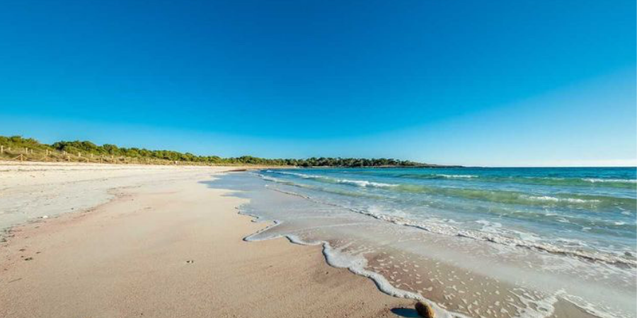 playas vírgenes de Son Saura