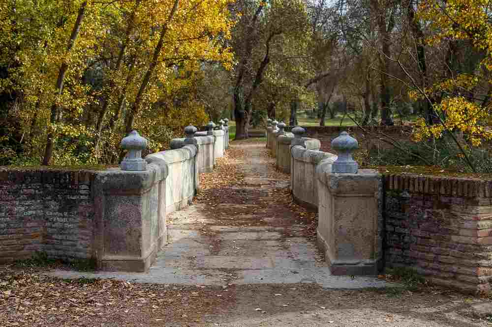 Ven de ruta a Madrid