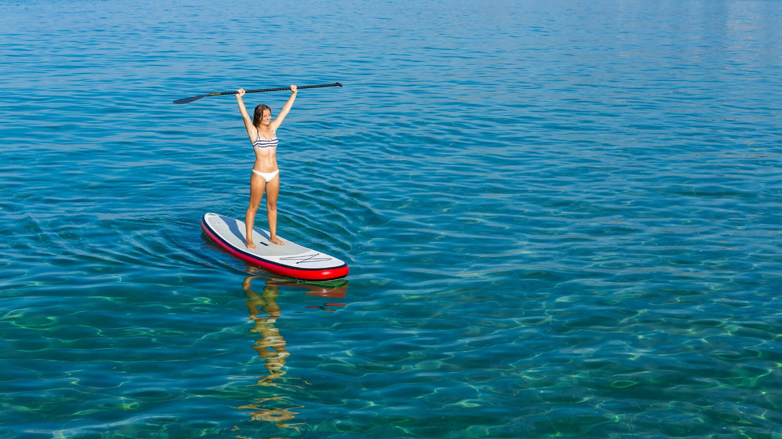 stand up paddle