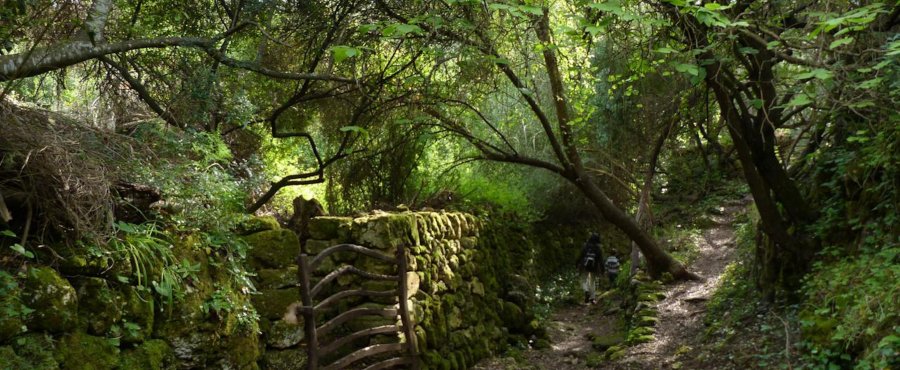 Ruta por Barranc d'Algendar Menorca