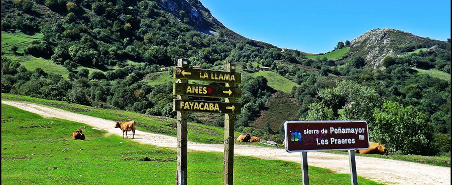 Les Praeres, Asturias