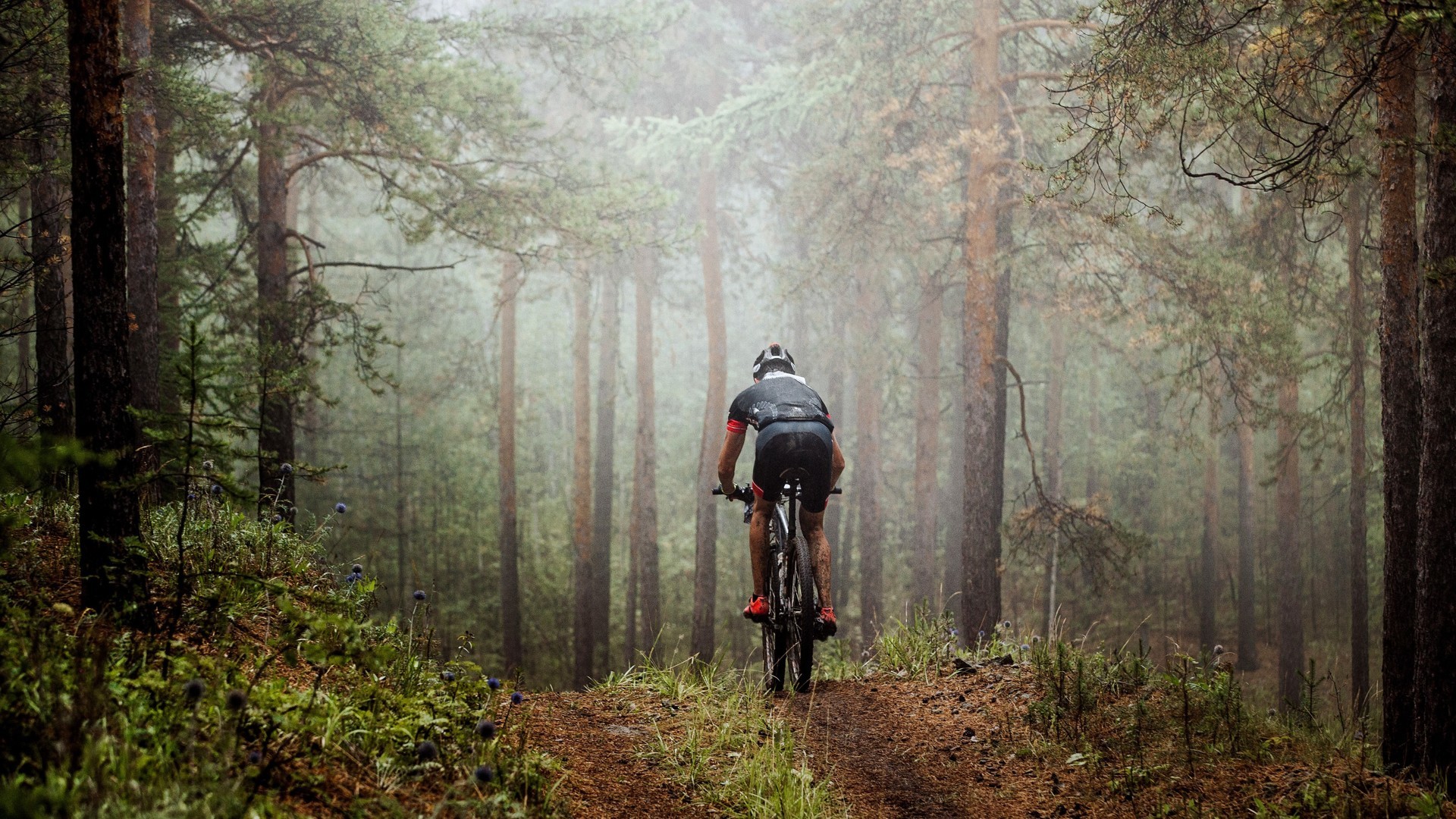 Gimnasio y Piscina Exterior - ARTIEM Asturias | Hotels ©